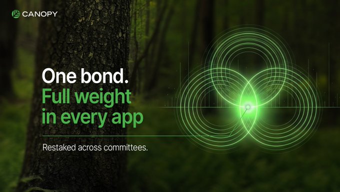 A digital advertisement with the logo "CANOPY" over a forest background, featuring glowing green concentric circles and the text "One bond. Full weight in every app. Restaked across committees."
