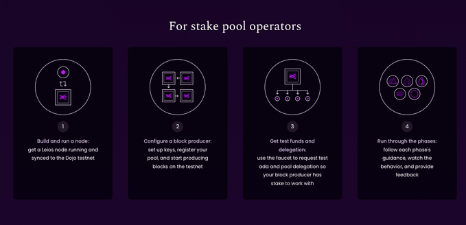 The image displays a four-step process titled "For stake pool operators," featuring numbered icons (1-4) with instructions on building nodes, configuring block producers, getting test funds, and running through delegation phases.

In relation to the post about Leios and Cardano's fallback security model, the image illustrates the operational pathway stake pool operators would take to test and implement the new endorser layer—highlighting the systematic process required before Praos fallback would ever be needed.