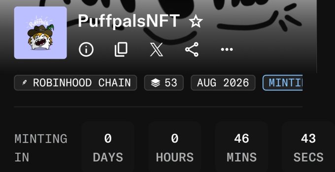 A NFT project profile for 'PuffpalsNFT' on Robinhood Chain, showing 53 items, with minting set for August 2026 and a countdown timer displaying 0 days, 0 hours, 46 minutes, and 43 seconds.