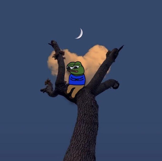 A Pepe the Frog character sitting in a bare tree at night, with a crescent moon in the dark blue sky and a cloud behind him.