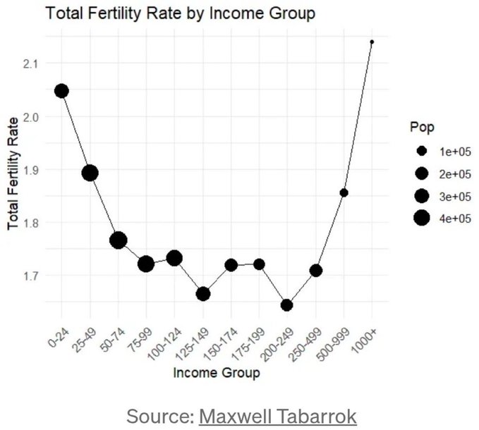 A chart titled 'Total Fertility Rate by Income Group' showing a U-shaped curve with the highest rates at 0-24 and 1000+ income groups, sourced from Maxwell Tabarrok.