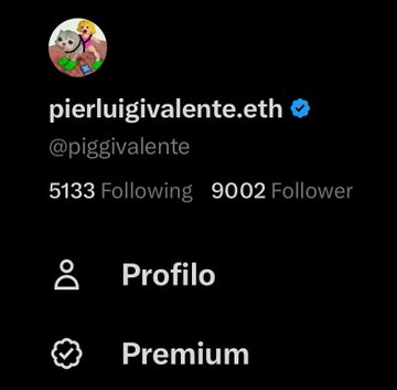 A dark-themed social media profile card for verified user pierluigivalente.eth (@piggjvalente) showing 5133 Following and 9002 Followers.