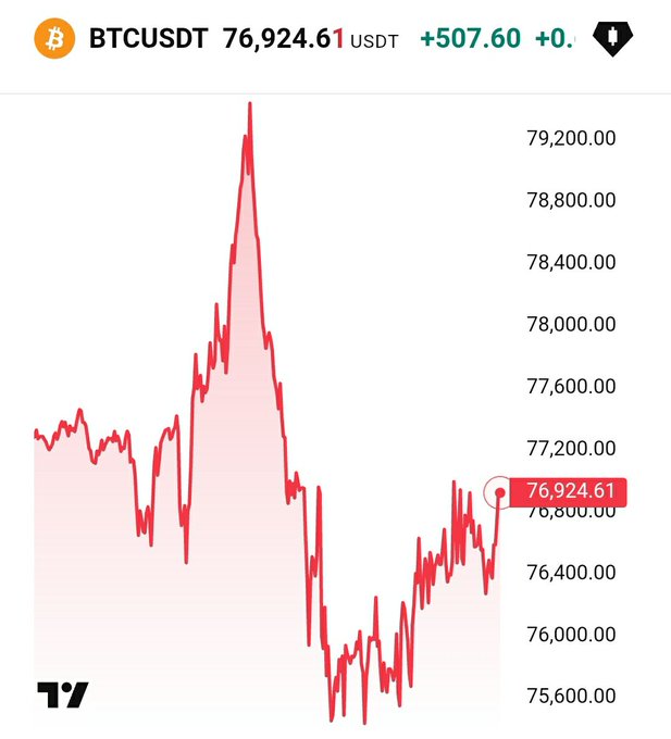 A TradingView chart showing BTCUSDT at 76,924.61 USDT, up +507.60, displaying a volatile price action with a peak near 79,200 and a recent decline.
