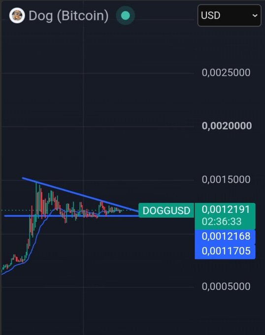 A cryptocurrency price chart for 'Dog (Bitcoin)' against USD with the ticker DOGGUSD, showing a price of 0.0012191 at 02:36:33.