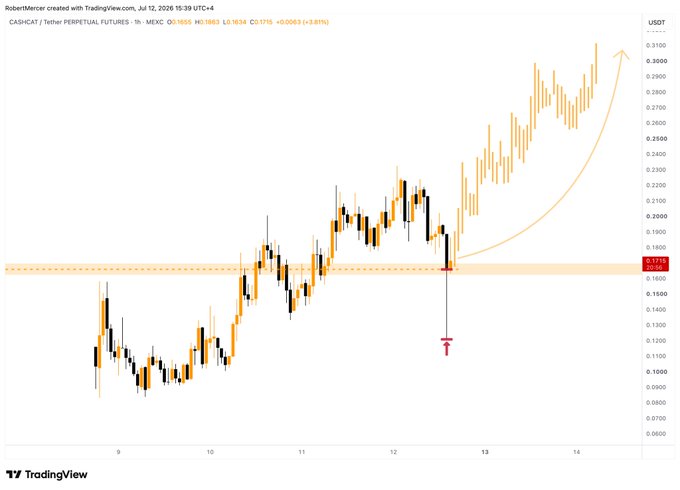 A TradingView 1-hour chart of CASHCAT/USDT perpetual futures showing the price retesting a key support zone around $0.1650 (highlighted in orange) before staging a strong rally upward, aligning with the post's bullish call that "CASHCAT" is "programmed to go higher from here."