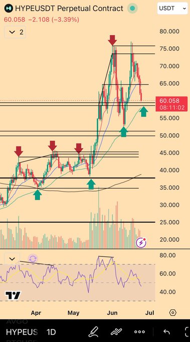 A TradingView chart of the HYPEUSDT perpetual contract shows a sharp rally to ~$80 followed by a steep pullback to $60.058 (-3.39%), with multiple red sell arrows marking rejection at resistance and green buy arrows confirming lower support holds — visually capturing the "respect the levels" trading philosophy.
