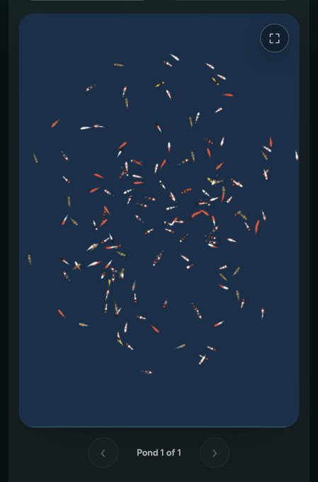 A mobile app screen showing an illustration of a dark blue pond filled with swimming koi fish, labeled 'Pond 1 of 1' with a fullscreen toggle in the corner.
