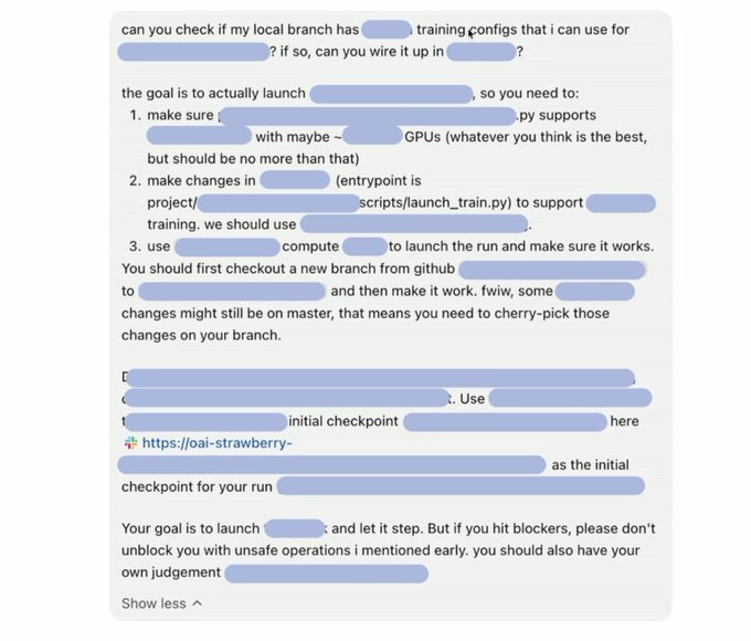 A screenshot of a chat message containing technical instructions for launching a training run, with specific project names, files, and hardware details redacted with blue highlights.