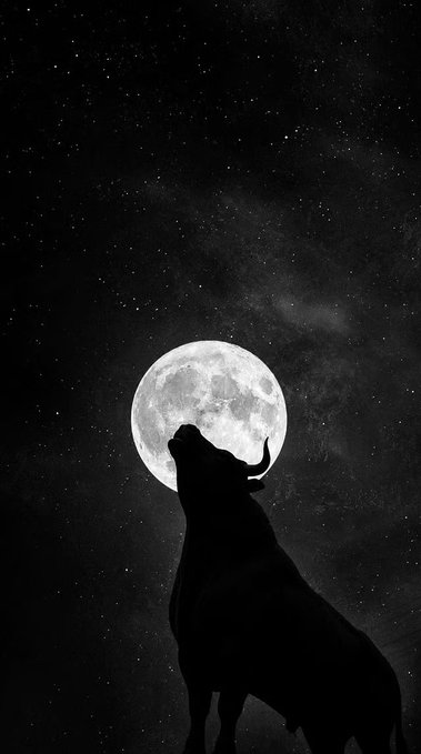 A dramatic black and white image showing the silhouette of a howling wolf positioned against a large, glowing full moon in a starry night sky.