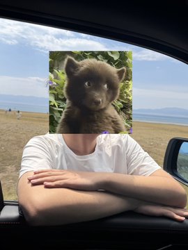 A person sits in a car by the sea with arms crossed, their face obscured by an image of a curious black kitten against purple flowers. The kitten's innocent gaze contrasts with the post's dramatic declaration, possibly expressing that even small, unexpected moments—like this cute feline discovery—make life worthwhile.

No text, numbers, tickers, or names are visible in the image.