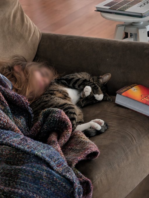 A person with a blurred face napping on a brown couch under a colorful knit blanket, with a tabby cat sleeping beside them and a Pokémon book resting nearby.