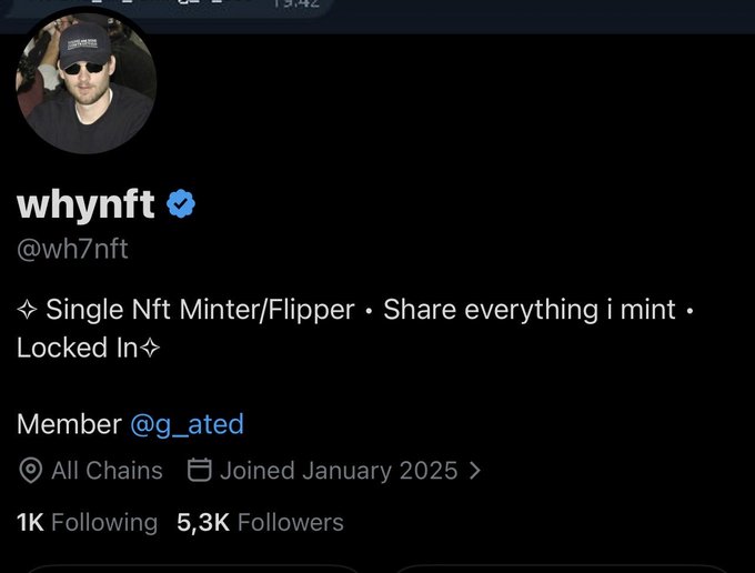 A Twitter/X profile for 'whynft' (@wh7nft), a verified user describing themselves as a 'Single Nft Minter/Flipper,' member of @g_ated, with 1K Following and 5.3K Followers, joined January 2025.