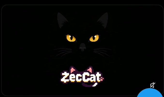 A black cat's face barely visible in the darkness with glowing yellow eyes above the pixel-art text 'ZecCat'.