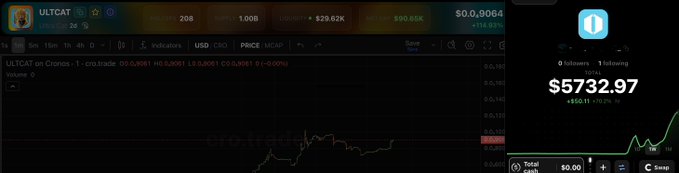 A trading chart for ULTCAT token on Cointhedog, priced at $0,9064 with 24-hour volume of 208 and a $20.62K liquidity pool, showing a portfolio value of $5732.97 (+10.21%).