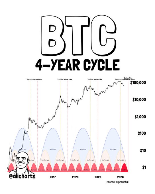 The image shows a chart titled "BTC 4-YEAR CYCLE" displaying Bitcoin's price history from around 2011 through a projected 2026 timeframe, with overlaid cyclical patterns (bull/bear cycles) and annotations marking "Top Price" and "Bottom Price" points at roughly 2017, 2020, 2023, and 2026, with a price scale ranging from $1 to $100,000. The chart, credited to @alicharts with data from alphractal, visually supports the post's claim about Bitcoin's cyclical bottom occurring in October 2026, suggesting a dollar-cost-averaging strategy between $62,000 and $48,000 to capitalize on the expected final capitulation candle before the next bull run.
