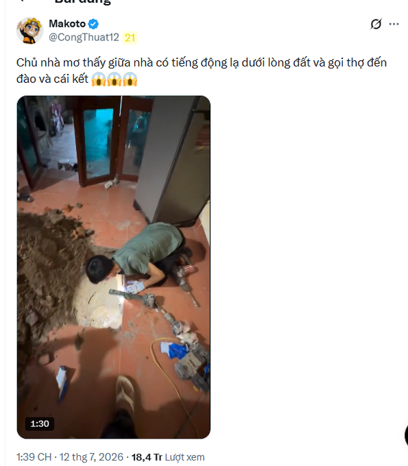 The screenshot shows a Vietnamese X post by user @CongThuat12 describing a scene where a homeowner hears unusual noises under the house, discovers an underground tunnel, and calls authorities who arrive with shovels and equipment to investigate the excavation through a tiled floor. The caption notes the post's commentary about consistent engagement on domestic content for views, contrasting it with underperforming overseas channels.