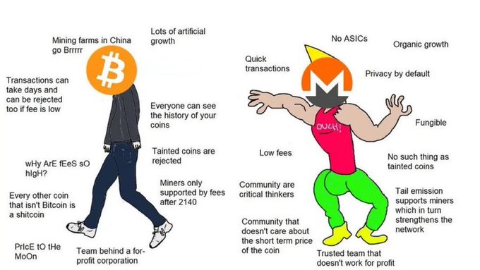 The image is a comparison meme contrasting Bitcoin (depicted as a hoodie-wearing figure with criticisms like "Mining farms in China go Brrrr," "Transactions can take days," and "Team behind a for-profit corporation") with Monero (shown as a muscular figure with advantages like "Organic growth," "Privacy by default," "Fungible," and "Tail emission supports miners"). It visually supports the post's claim "Monero>bitcoin" by listing Monero's strengths against Bitcoin's weaknesses.