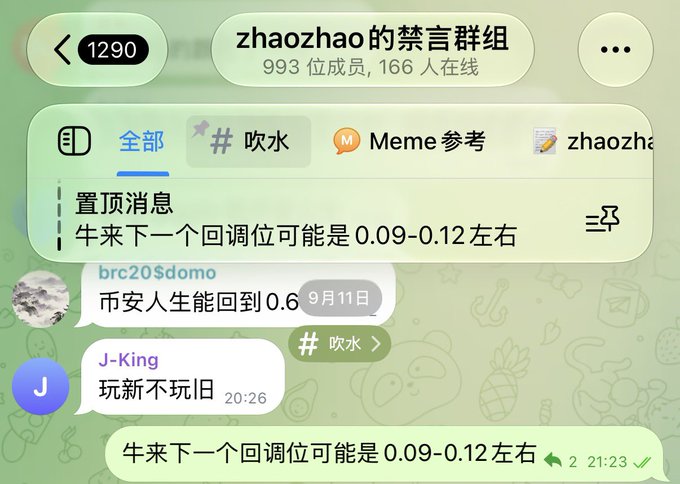 A Telegram chat group titled 'zhaozhao的禁言群组' with 993 members shows users discussing cryptocurrency price predictions, including messages about 'bbrc20$domo' and 'J-King'.