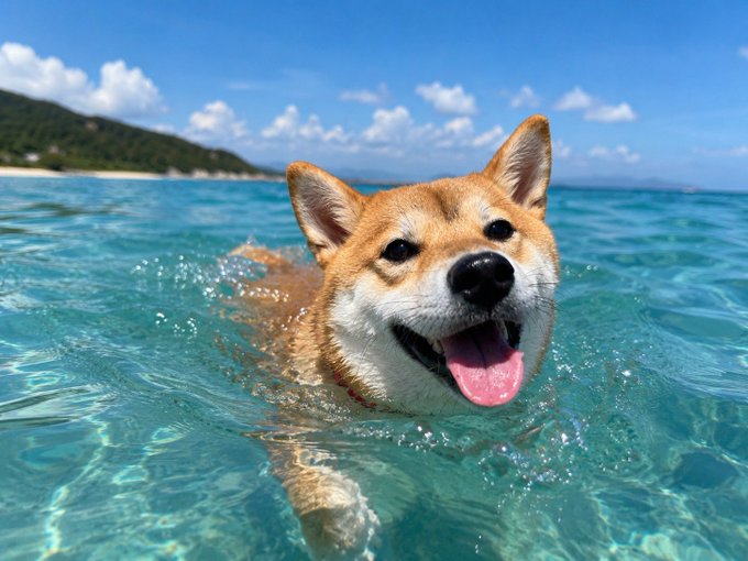 A joyful Shiba Inu named Rantarou happily swims in clear turquoise ocean water, his tongue out and ears perked up, embodying the carefree summer spirit captured in "Summer Memories Part 2." The bright blue sky, distant coastline, and sparkling sea perfectly complement the playful beach day atmosphere of his growth record.