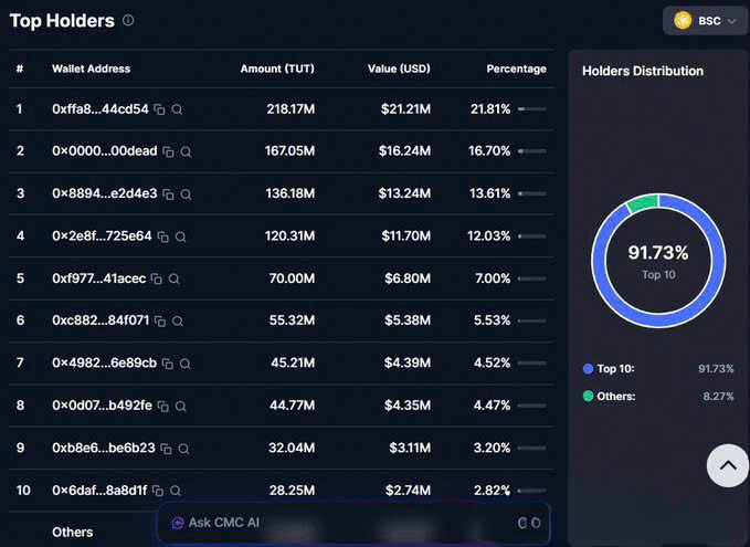 A screenshot of a cryptocurrency tracking website showing 'Top Holders' for a BSC token (TUT), with a pie chart indicating the top 10 holders control 91.73% of the supply.