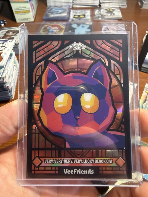 A hand holding a graded 'VeeFriends' trading card in a protective case, featuring a colorful cat character with the text 'VERY, VERY, VERY, VERY, LUCKY BLACK CAT'.