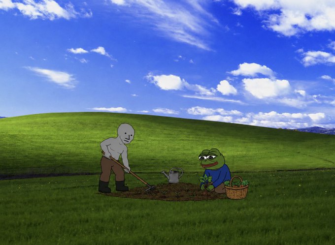 [caption-failed: flagged sensitive]
