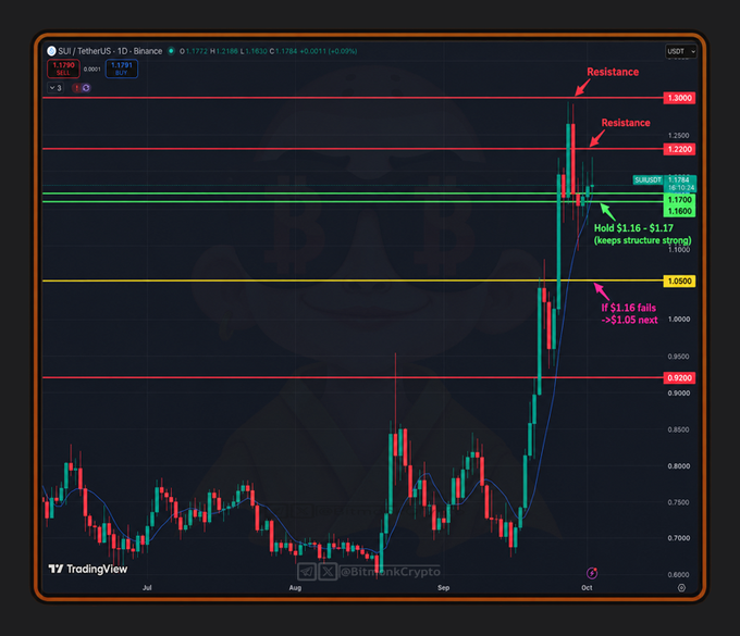 TradingView candlestick chart of SUI/TetherUS (1D Binance) showing resistance levels at $1.30 and $1.22, with trade notes suggesting a hold between $1.16-$1.17 and a potential fall to ~$1.05 next.