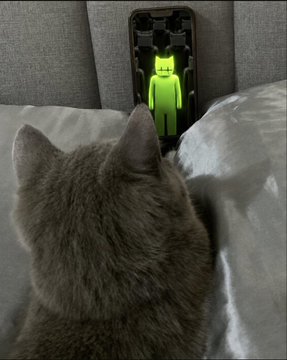 A cat stares intently at a smartphone displaying a glowing green cartoon figure on screen, mirroring the post's theme of "FatCat Arena" by depicting a cat preparing to battle other traders in 1v1 perpetual trading duels. The image's playful yet focused cat visually represents the author's no-nonsense approach to head-to-head crypto competition rather than relying on fake guru advice.