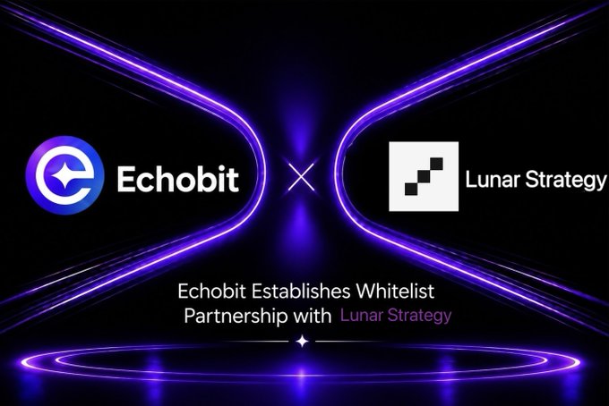 The image is a partnership announcement graphic featuring the Echobit logo and the Lunar Strategy logo separated by a glowing "X," with the text "Echobit Establishes Whitelist Partnership with Lunar Strategy" beneath a stylized purple neon design. The graphic visually reinforces the post's mention of the Echobit–Lunar Strategy collaboration, highlighting Lunar's track record with established names like Polkadot, Cardano, and OKX as context for why this particular pairing matters.