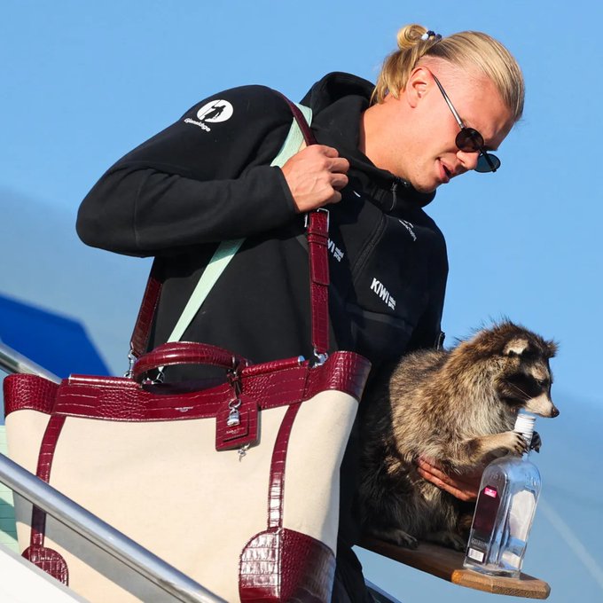 A blonde woman wearing sunglasses and a "KIWI" branded black jacket tends to a raccoon holding a water bottle, seemingly in a travel setting with a large red-and-white bag nearby. The image humorously echoes the post's "$BTC after cooler CPI: Bringing $65K home" by depicting the woman "bringing home" a wild, market-behaving raccoon—much like Bitcoin celebrating new highs with cooler inflation data.