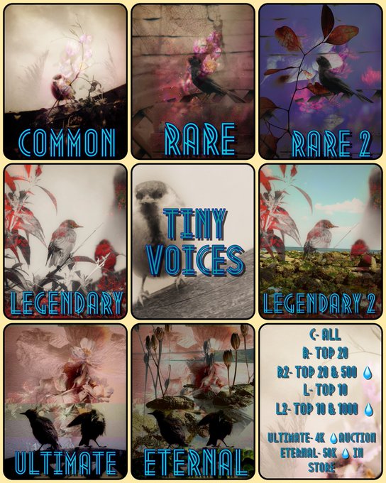 A promotional collage featuring artistic bird photography divided into nine tiered rarity levels (Common, Rare, Rare 2, Legendary, Legendary 2, Ultimate, Eternal) around a central 'Tiny Voices' title, with a legend on the bottom right listing prices from 'C-ALL' through 'Eternal-5K'.