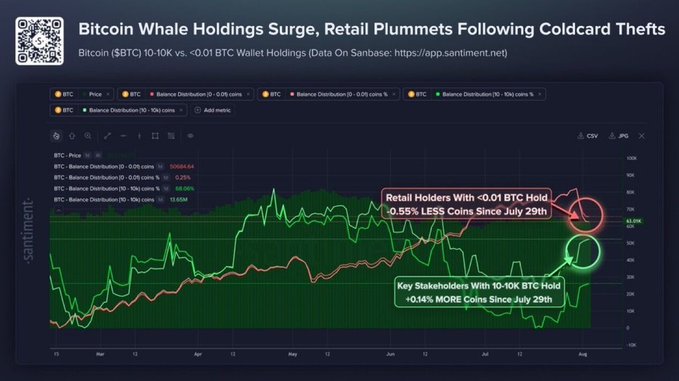 A Santiment chart shows Bitcoin whale holdings (10-10K BTC) surging +0.14% to roughly 18,650 coins while retail wallets (<0.01 BTC) dropped 0.55% to about 13,694 coins since July 29.