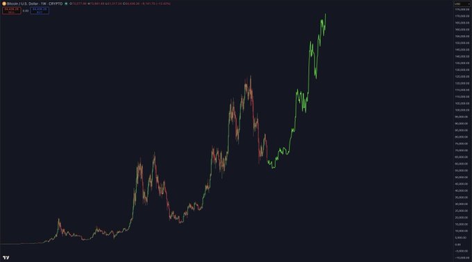 A Bitcoin/USD weekly candlestick chart on TradingView displays BTC's price history climbing from near zero to approximately $100,000, with prominent green bullish rallies and the ticker "BTCUSD" visible in the top-left corner. The chart's recent vertical surge aligns with the post's bullish claim of a "massive bull run" underway, visually reinforcing the optimistic sentiment.