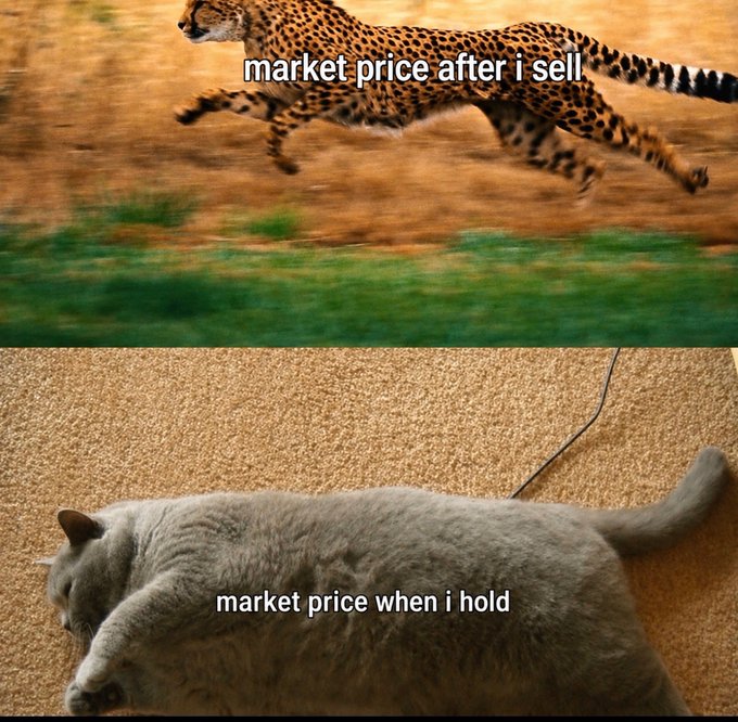 A meme showing a running cheetah labeled 'market price after i sell' contrasted with a sleeping cat labeled 'market price when i hold', humorously illustrating the investing principle that markets tend to rise when you're not watching.