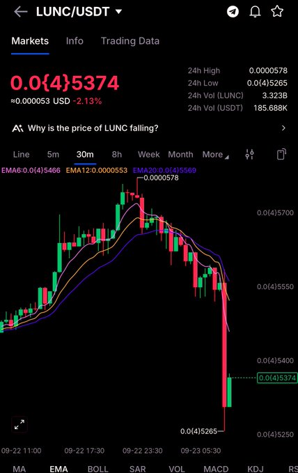 A crypto trading chart showing LUNC/USDT at 0.0{4}5374, down 2.13%, with a steep downward candlestick trend and 24h volume of 185.688K.
