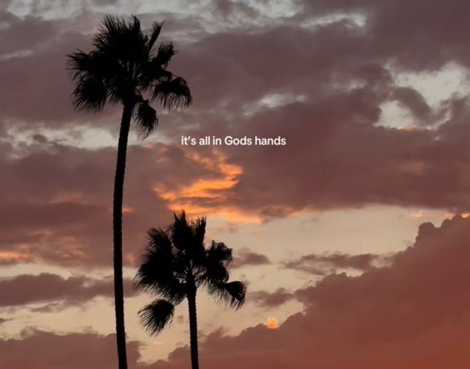 A silhouette of two palm trees against a cloudy sunset sky, with the overlay text 'it's all in Gods hands'.