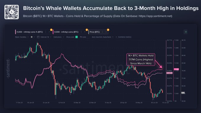 The image presents a comparison of Bitcoin wallets holding 3 months high against Bitcoin wallet holding 7.17MBTC, with Bitcoin wallets held by the "key stakeholders" having at least 1K Bitcoins. The Bitcoin wallet's price has rebounded back to March 14th and currently stands at 2,044 addresses with at least 1K Bitcoins. A bar chart is displayed on a webpage showing the fluctuations in Bitcoin wallet holding since January 2014.
