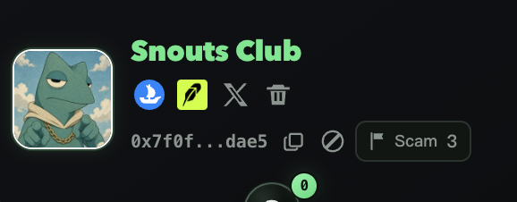 A cryptocurrency wallet interface showing an NFT project called 'Snouts Club' labeled as a 'Scam'.
