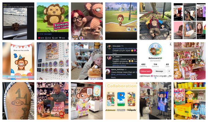 A grid of Instagram-style posts showcases photos of "Chimpi" monkey plushies, merchandise, and fan content with hashtags like #Chimpi.