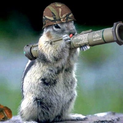 A squirrel wearing a small camouflage hat is holding a miniature rocket launcher.