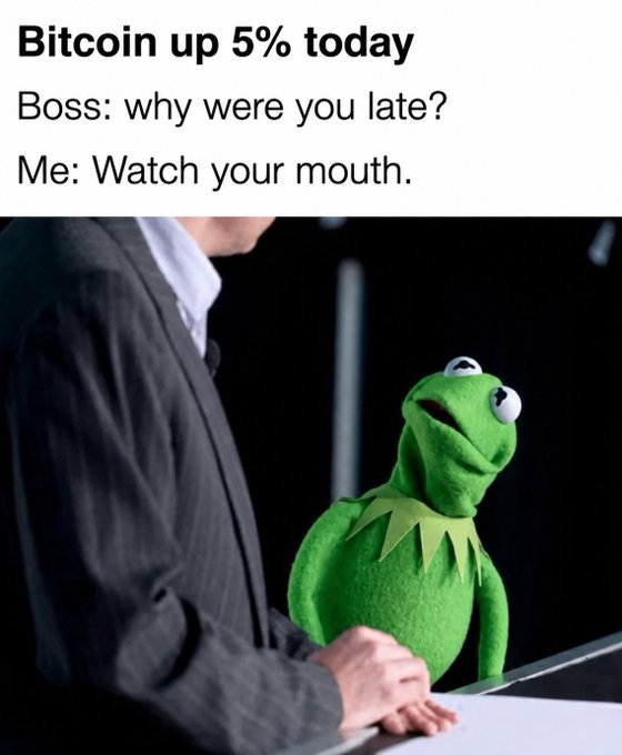 A meme featuring Kermit the Frog looking sternly at a man in a suit, with text 'Bitcoin up 5% today / Boss: why were you late? / Me: Watch your mouth.'