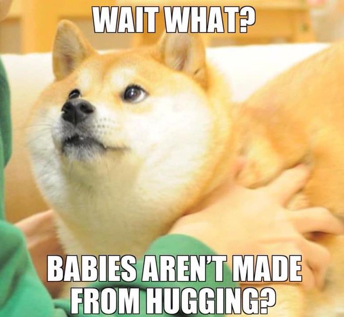A Shiba Inu dog with a wide-eyed, surprised expression is being held by a person wearing a green shirt, with white text above reading "WAIT WHAT?" and below reading "BABIES AREN'T MADE FROM HUGGING?"
