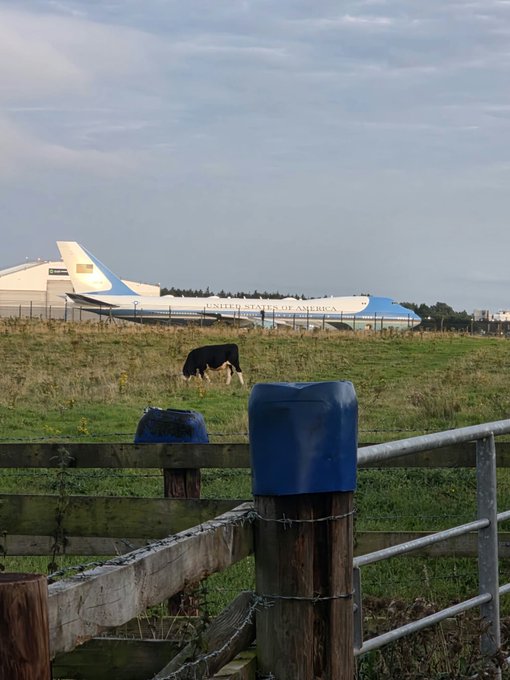 A pastoral scene of a black and white cow grazing in a field next to a blue-topped wooden fence post, with Air Force One (the 'UNITED STATES OF AMERICA' plane) parked on a runway in the background.