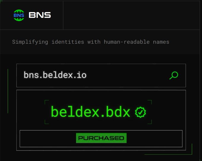 A dark-themed interface for BNS (Beldex Name Service) simplifying identities with human-readable names, showing the domain 'beldex.bdx' as 'PURCHASED'.
