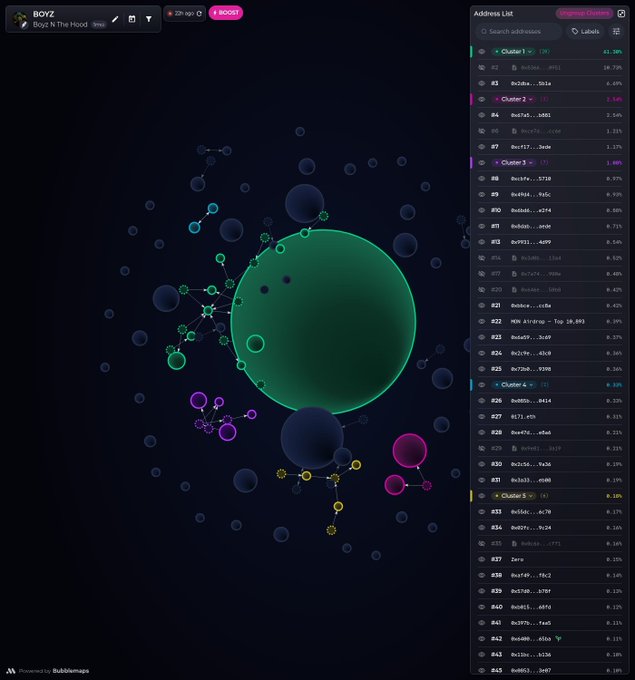 A dark-themed visualization interface titled 'BOYZ - Boyz In The Hood' displaying a bubble map of token clusters and a list of addresses with ownership percentages.