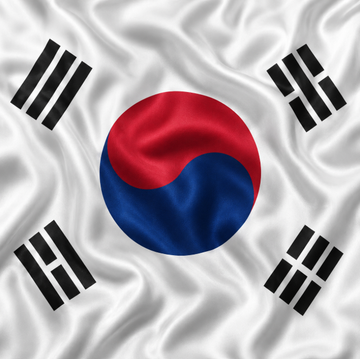 The South Korean national flag (Taegukgi) featuring the red and blue taeguk symbol in the center and four black trigrams in the corners, shown with a wavy fabric texture.