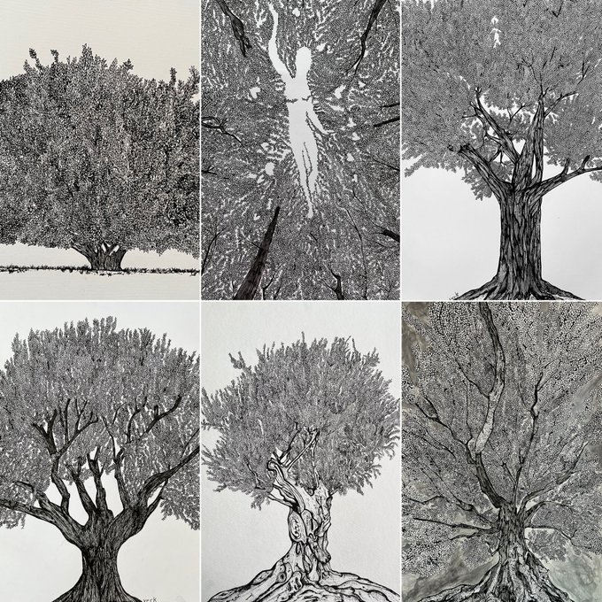 A collage of six black-and-white pen and ink drawings depicting various stylized trees with detailed foliage and textured trunks.