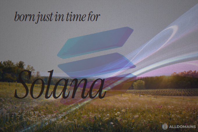 An artistic promotional graphic features the Solana blockchain logo overlaid on a sunset field landscape, with the text 'born just in time for Solana' and an 'ALLDOMAINS' logo.