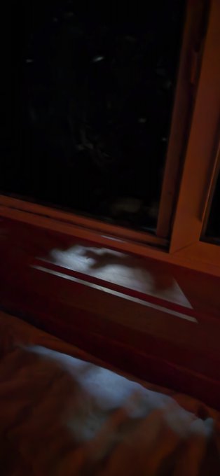 A dark, nighttime view through a wooden window frame shows faint, blurry shapes of what might be a cat and other objects outside.