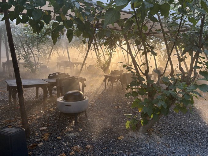 Sunbeams filter through the leafy canopy onto rustic wooden tables and a steaming clay stove in a misty outdoor pavilion, perfectly matching the post's serene weekend mood and the slow, contented pace of friends gathering and sharing Mid-Autumn Festival gift boxes.